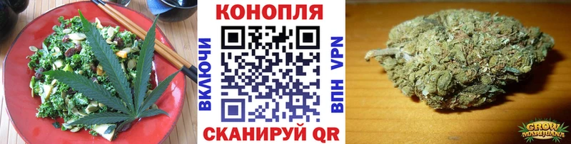 где продают Баксан OMG вход Cannafood марихуана