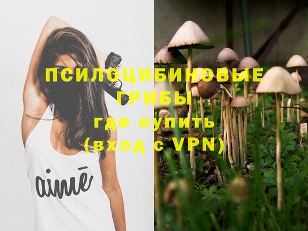 Альфа ПВП Алзамай