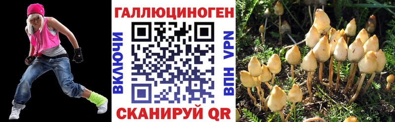 мега ТОР  Баксан  Псилоцибиновые грибы Psilocybine cubensis 